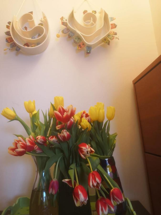 Apartments M&R Spadina Vodice Luaran gambar